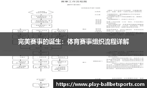 完美赛事的诞生：体育赛事组织流程详解